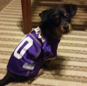 Meet your Posher, Donna